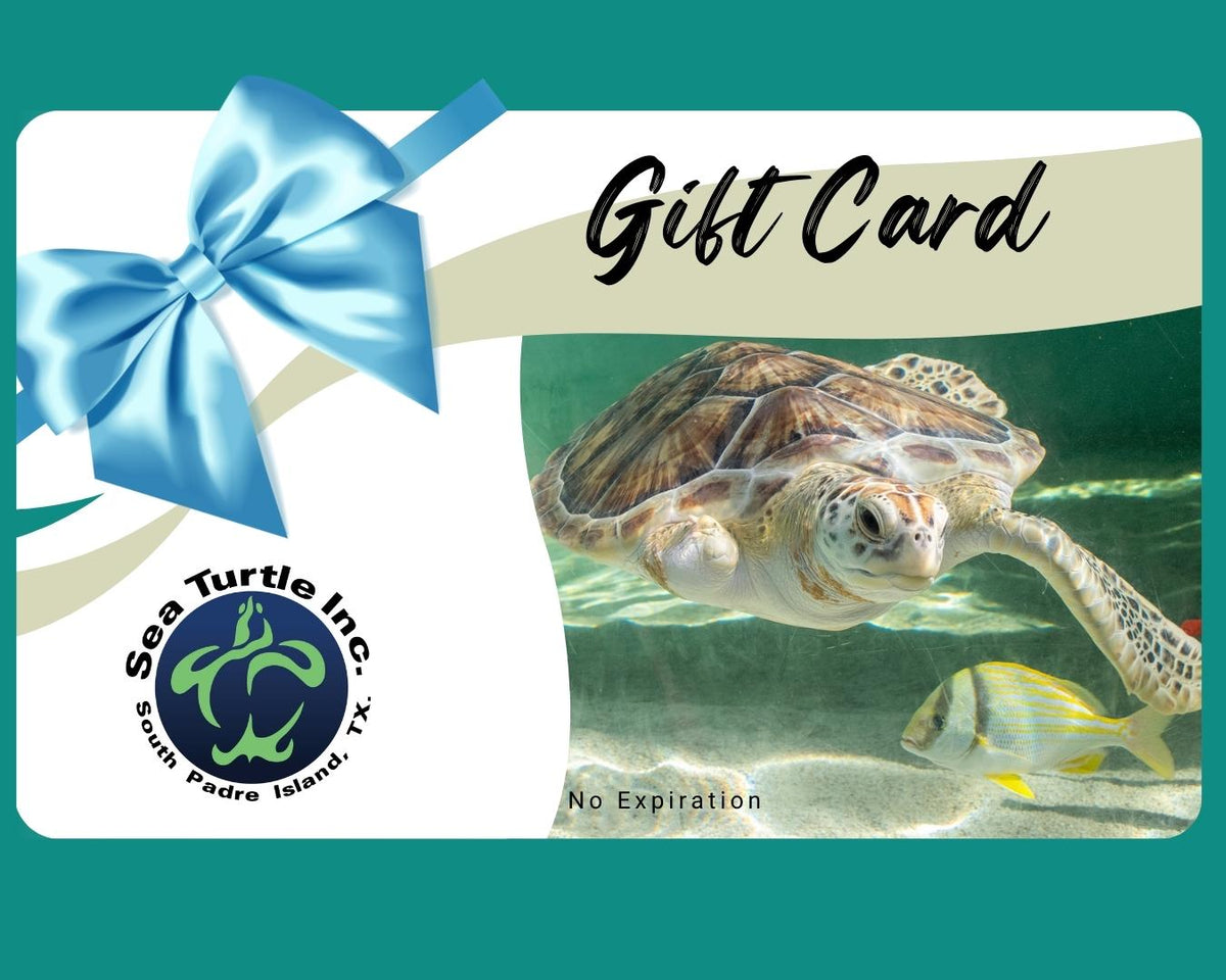 Sea Turtle Inc. Giftcard – Sea Turtle, Inc.