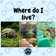 Load image into Gallery viewer, Virtual Lesson Plan Topic Habitat Homes!