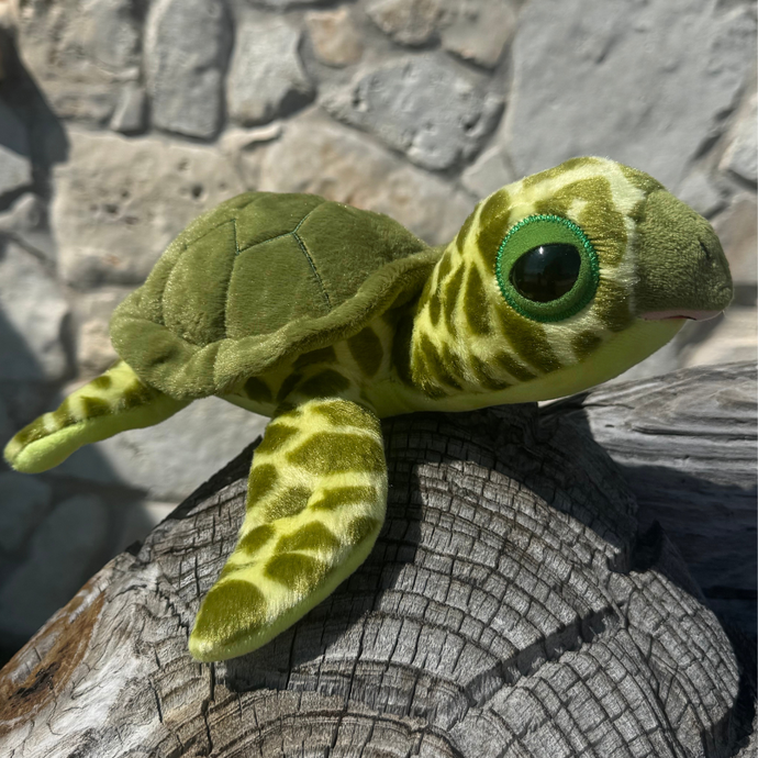 Squirt the Sea Turtle