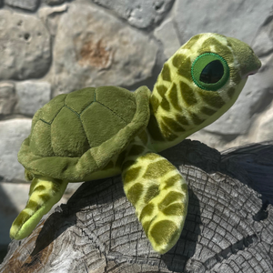 Squirt the Sea Turtle
