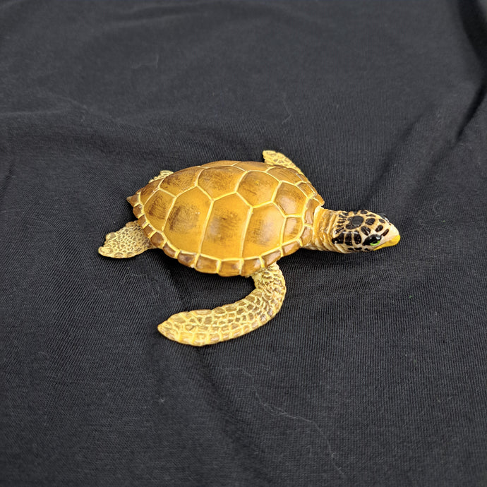 Loggerhead Sea Turtle Baby