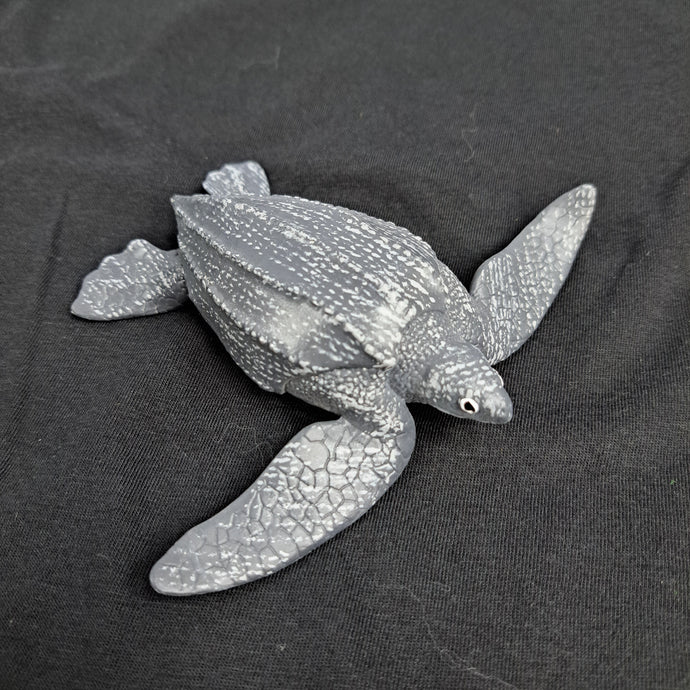 Leatherback Sea Turtle Baby