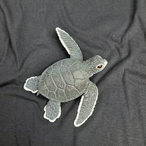 Green Sea Turtle Baby