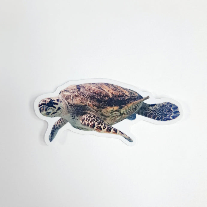 Bagua the Hawksbill Sticker