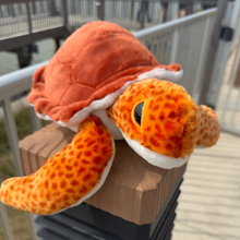 Load image into Gallery viewer, Tango the Loggerhead