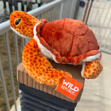 Load image into Gallery viewer, Tango the Loggerhead