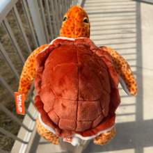 Load image into Gallery viewer, Tango the Loggerhead