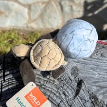 Load image into Gallery viewer, Sea Turtle Hatching Stuffed Animal - Hawksbill