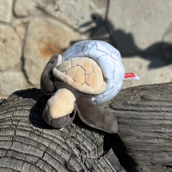 Sea Turtle Hatching Stuffed Animal - Hawksbill