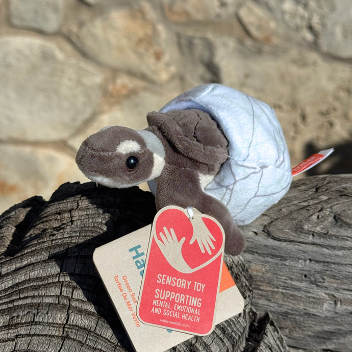 Sea Turtle Hatching Stuffed Animal - Atlantic Green