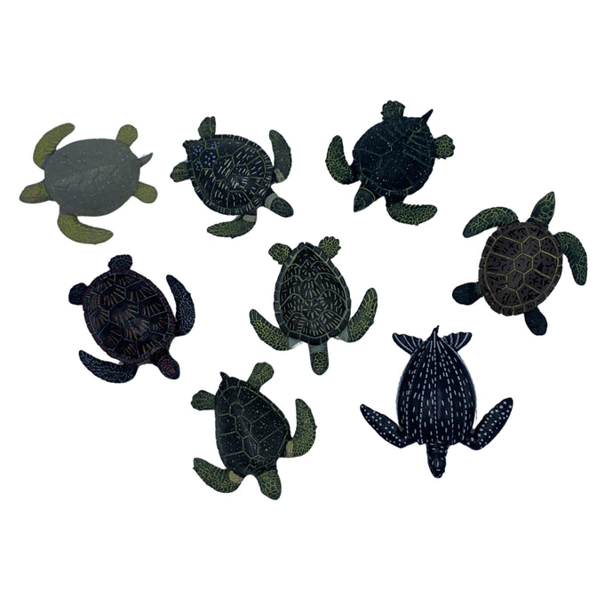 $2 Turtle Toys