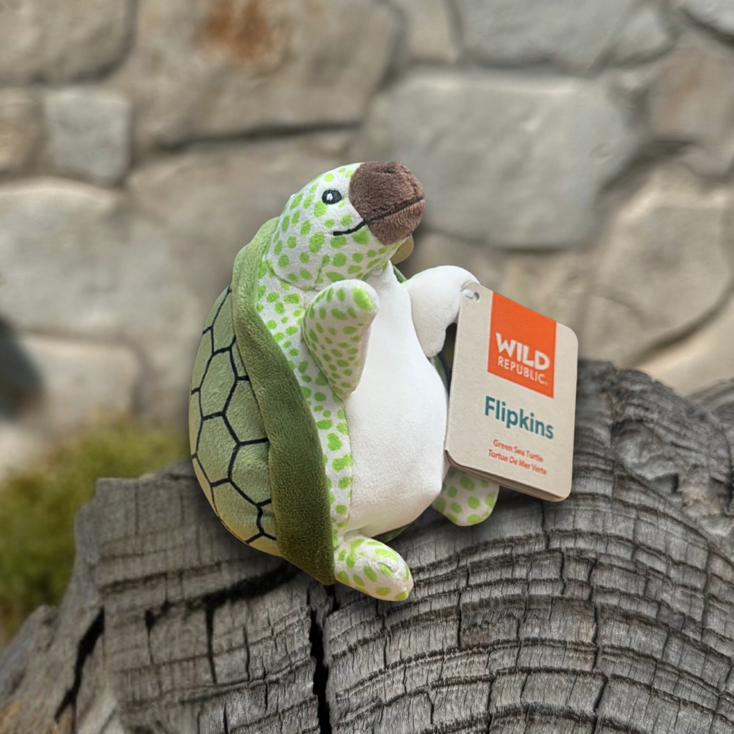 Flipkins the Green Sea Turtle