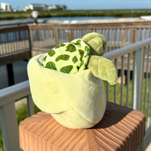 Load image into Gallery viewer, Baby Sea Turtle Hatching