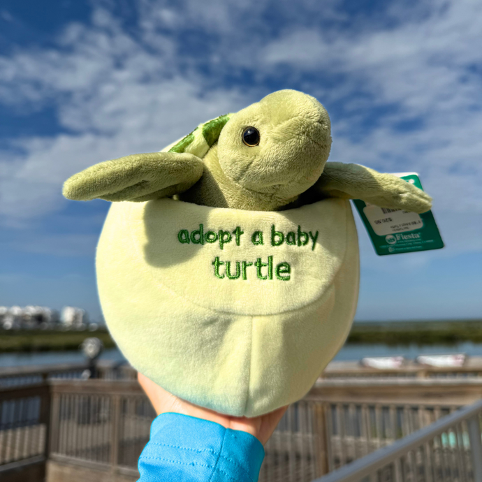 Baby Sea Turtle Hatching