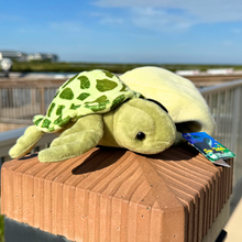 Load image into Gallery viewer, Baby Sea Turtle Hatching