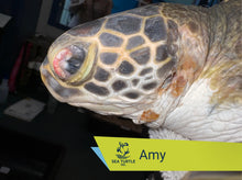 Load image into Gallery viewer, Patient Adoption