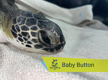 Load image into Gallery viewer, Patient Adoption