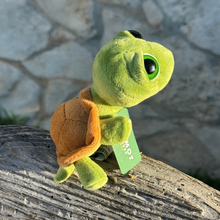 Load image into Gallery viewer, Baby Big Eyed Turtle