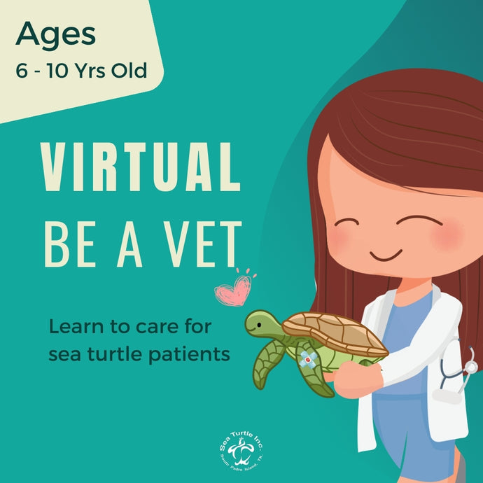 Virtual Be a Vet 6-10 Years Old