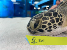 Load image into Gallery viewer, Patient Adoption