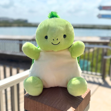 Load image into Gallery viewer, 13" Tiny The Turtle Palm Pal Stuffie