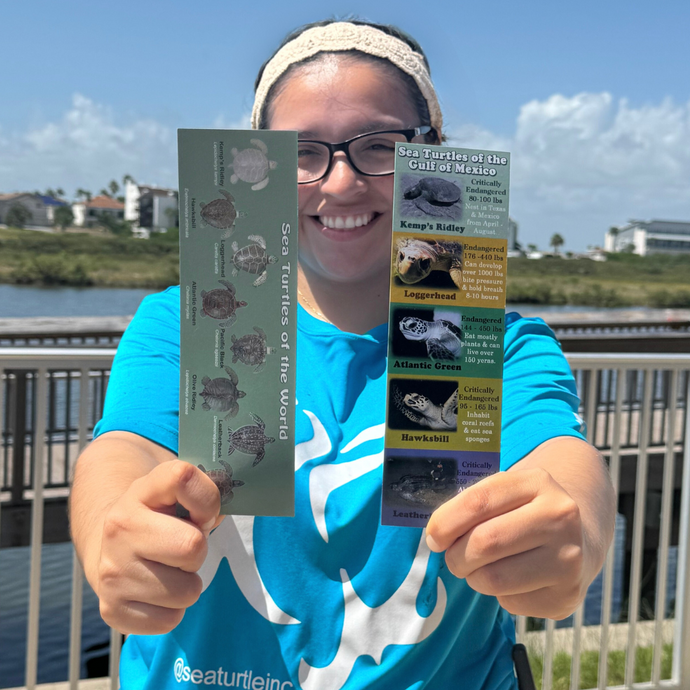 Sea Turtle Inc Bookmarks - 2 pack