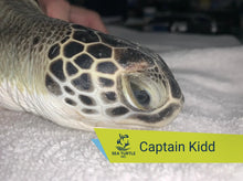 Load image into Gallery viewer, Patient Adoption