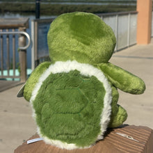 Load image into Gallery viewer, Chubbs the Sea Turtle Buddy