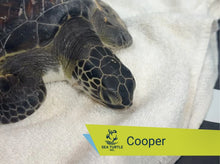 Load image into Gallery viewer, Patient Adoption