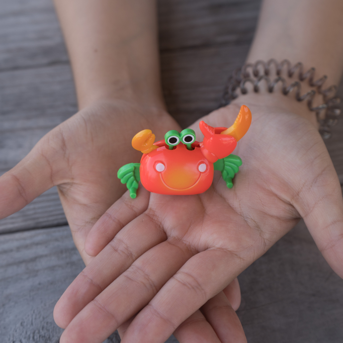 Crawling Crab Toy