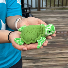Load image into Gallery viewer, Eco Buddies Greenie (Mini)