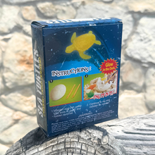 Load image into Gallery viewer, Fossil Sea Turtle Egg