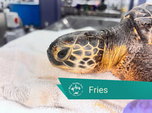 Load image into Gallery viewer, Patient Adoption