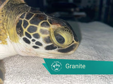 Load image into Gallery viewer, Patient Adoption
