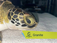 Load image into Gallery viewer, Patient Adoption