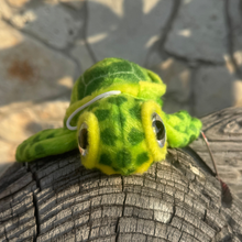 Load image into Gallery viewer, Sprout the Big Eyed Sea Turtle