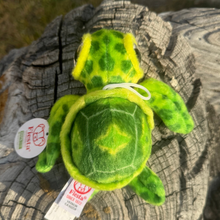 Load image into Gallery viewer, Sprout the Big Eyed Sea Turtle