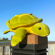 Load image into Gallery viewer, Squishy Kiwi the Sea Turtle