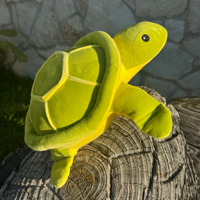 Squishy Kiwi the Sea Turtle