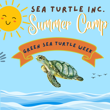 Load image into Gallery viewer, 3-Day Summer Camp