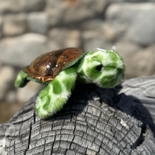Load image into Gallery viewer, Splish the Sea Turtle