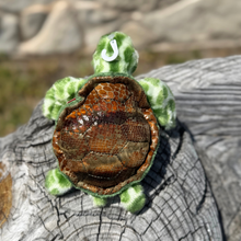 Load image into Gallery viewer, Splish the Sea Turtle