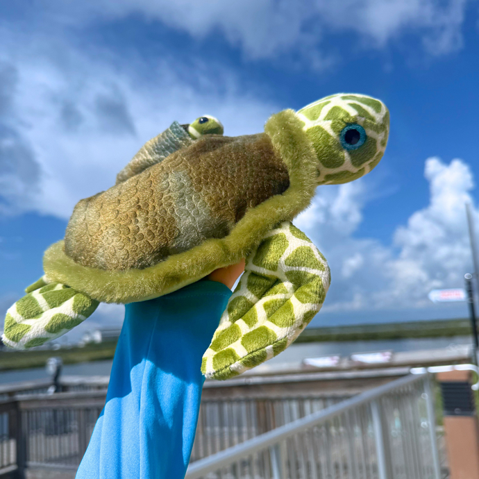 Green Turtle w/ Baby Stuffed Animal