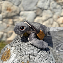 Load image into Gallery viewer, Grey Sea Turtle