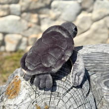 Load image into Gallery viewer, Grey Sea Turtle
