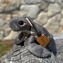 Load image into Gallery viewer, Grey Sea Turtle