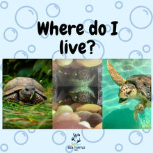 Load image into Gallery viewer, Virtual Lesson Plan Topic Habitat Homes!