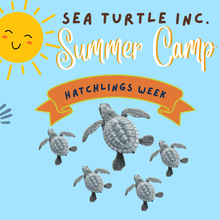 Load image into Gallery viewer, 3-Day Summer Camp