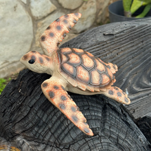 Load image into Gallery viewer, Hawksbill Toy