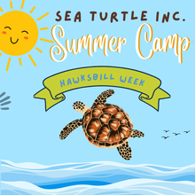 Load image into Gallery viewer, 1-Day Summer Camp